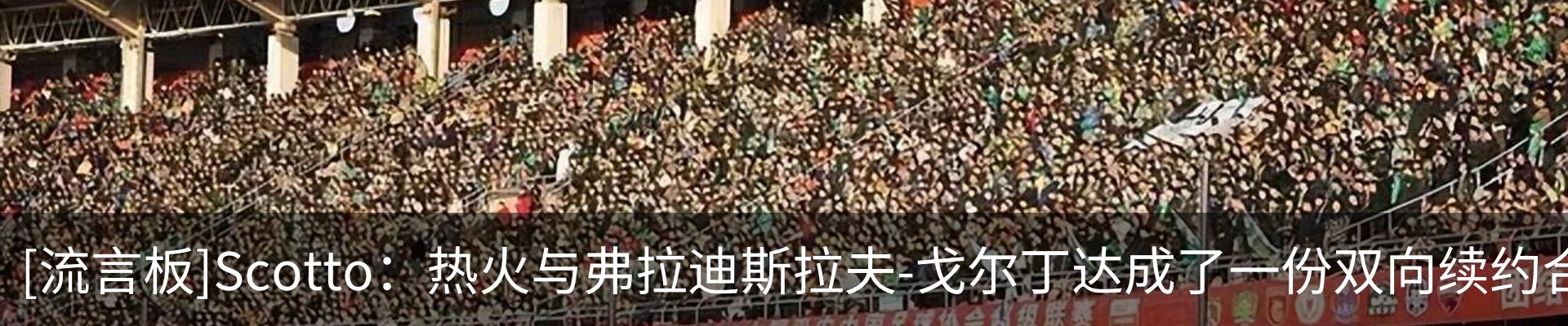 新闻动态